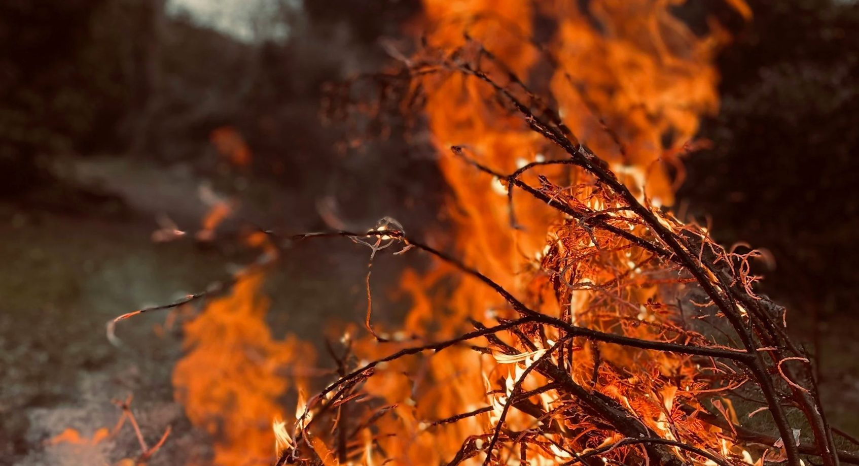 Brooksville to host wildfire risk reduction workshop