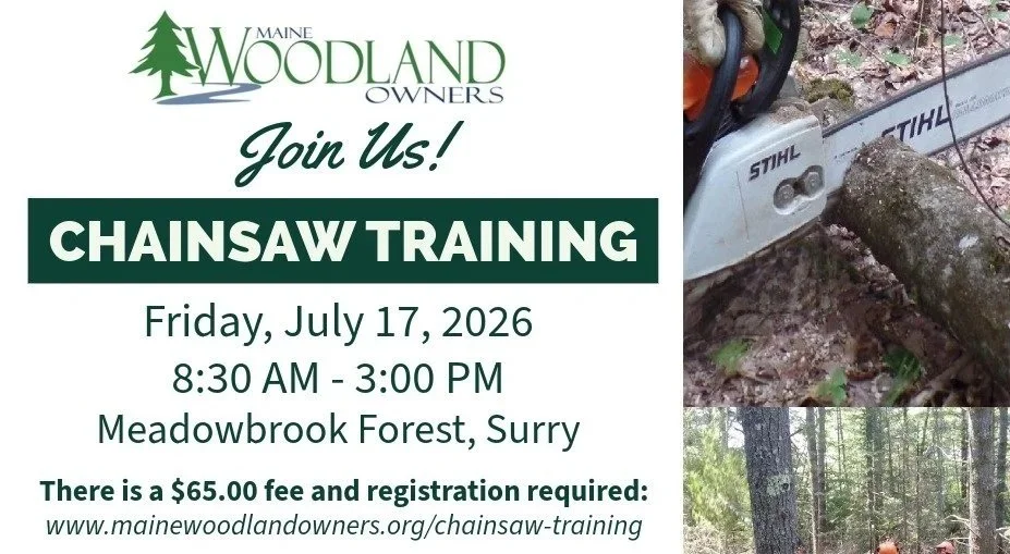 Beginner Level Chainsaw Training