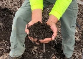 Backyard Composting 101