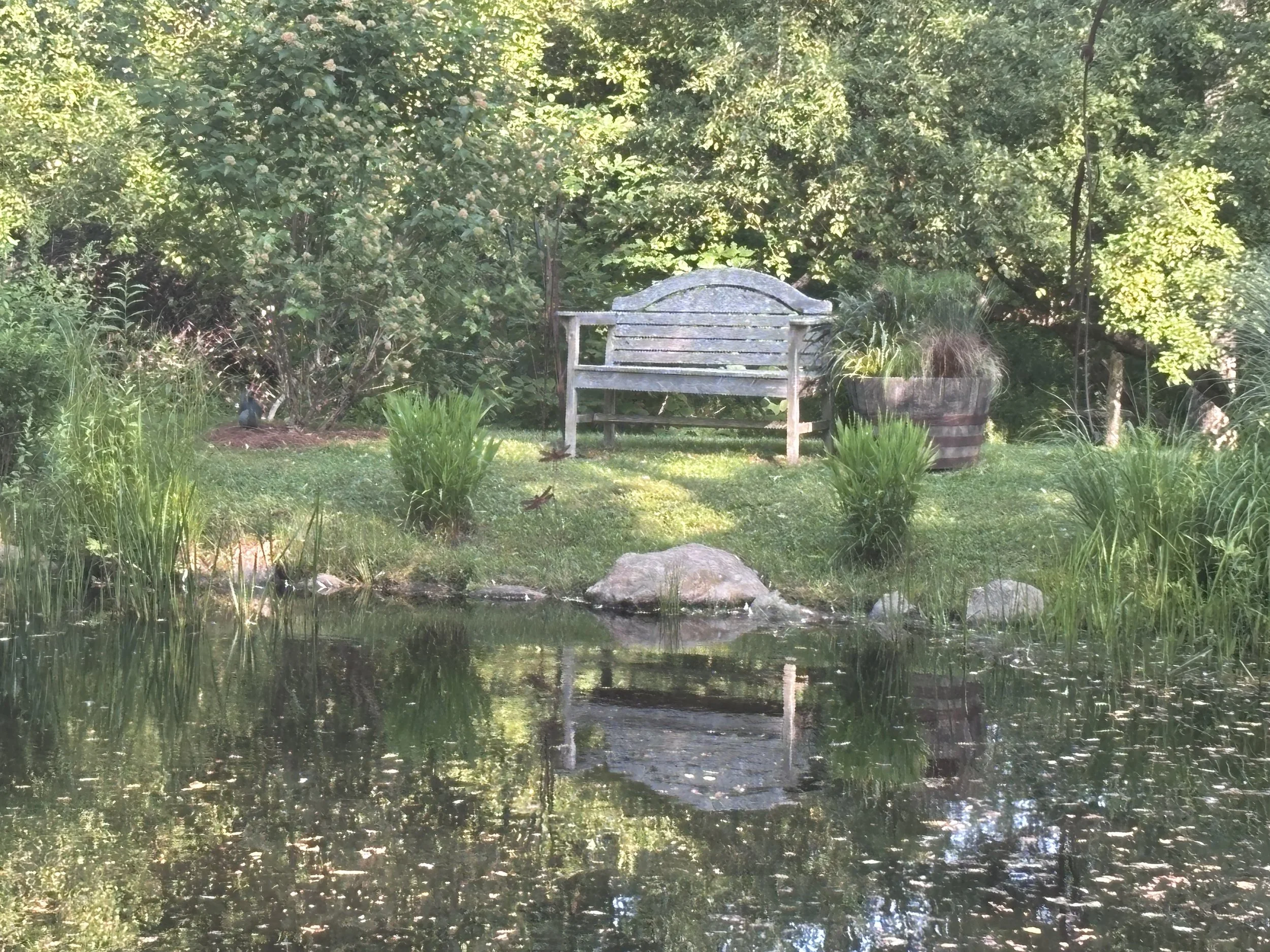From blackberry brambles to botanical destination