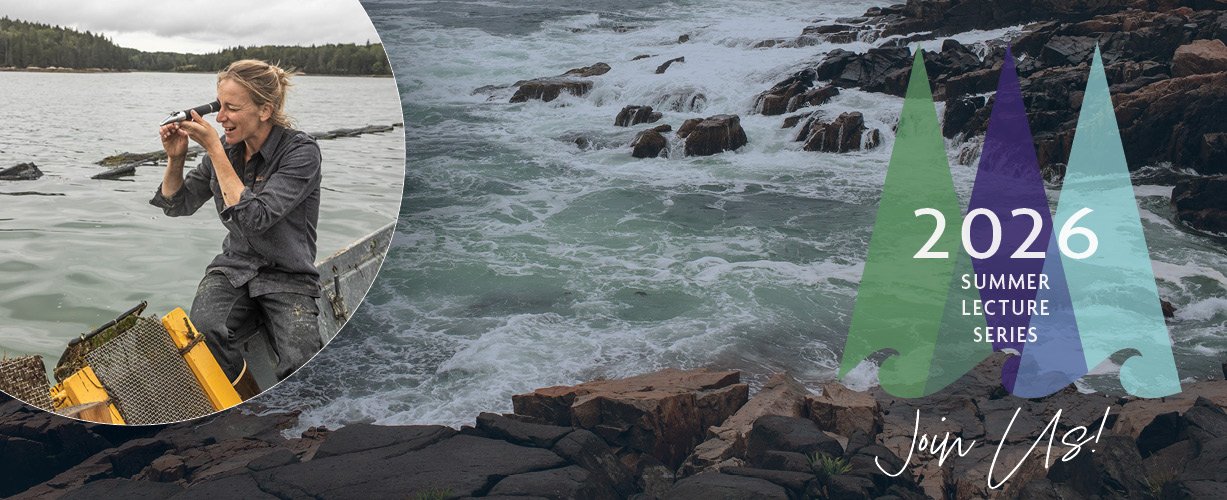 Summer Lecture Series: Designing Plastic Out of the Ocean Economy feat. Abby Barrows