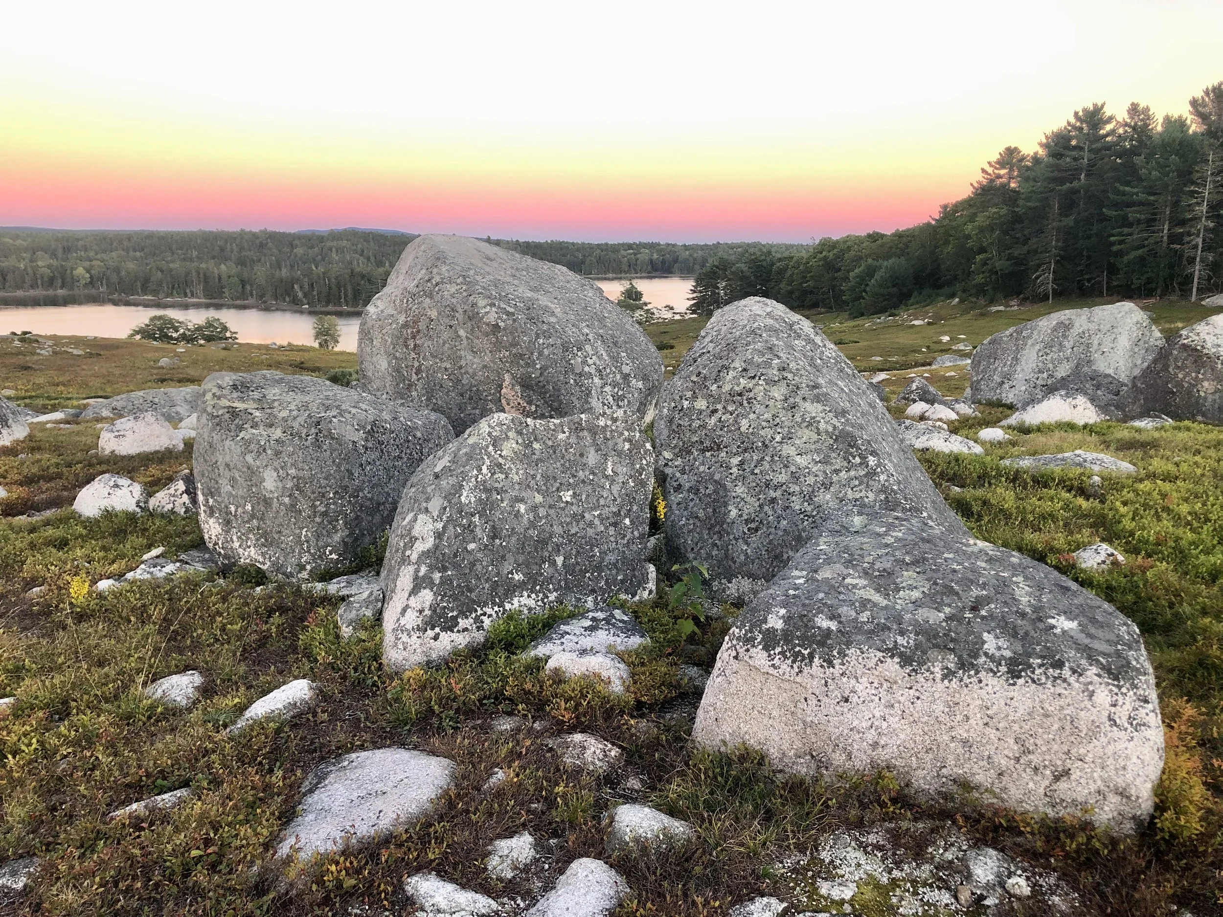 Local activists celebrate preservation of blueberry barrens