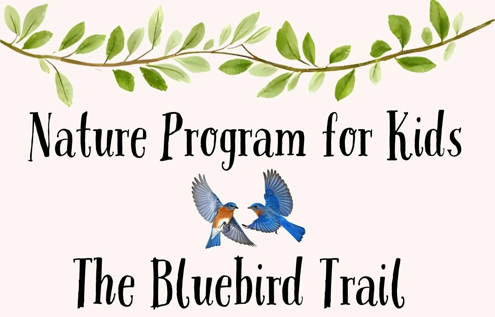 Nature Program for Kids: The Bluebird Trail