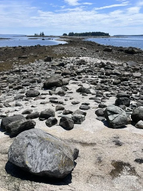 Low Tide Exploration on Little Deer Isle: Audubon Field Trip