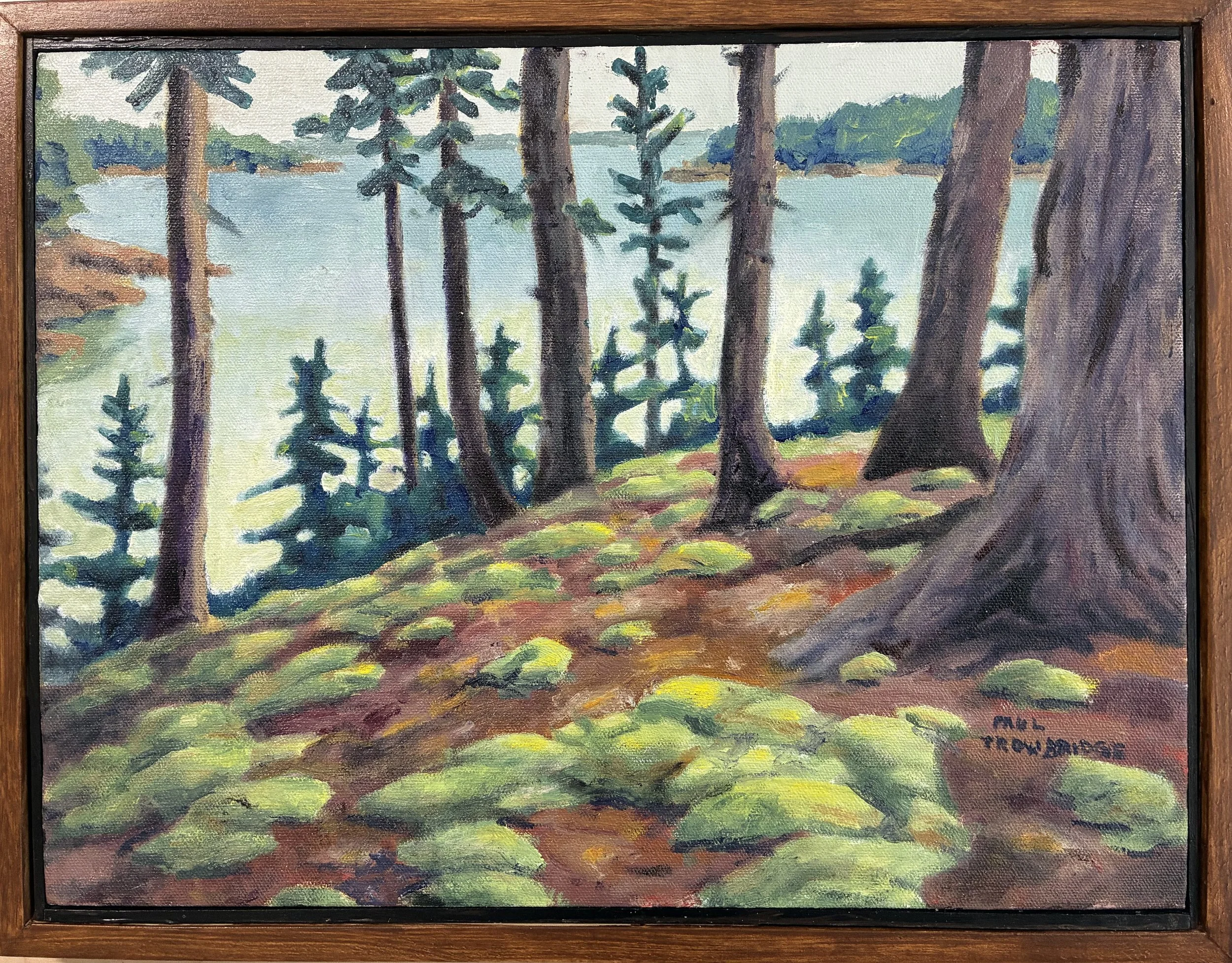 Moss Scape, Paul Trowbridge