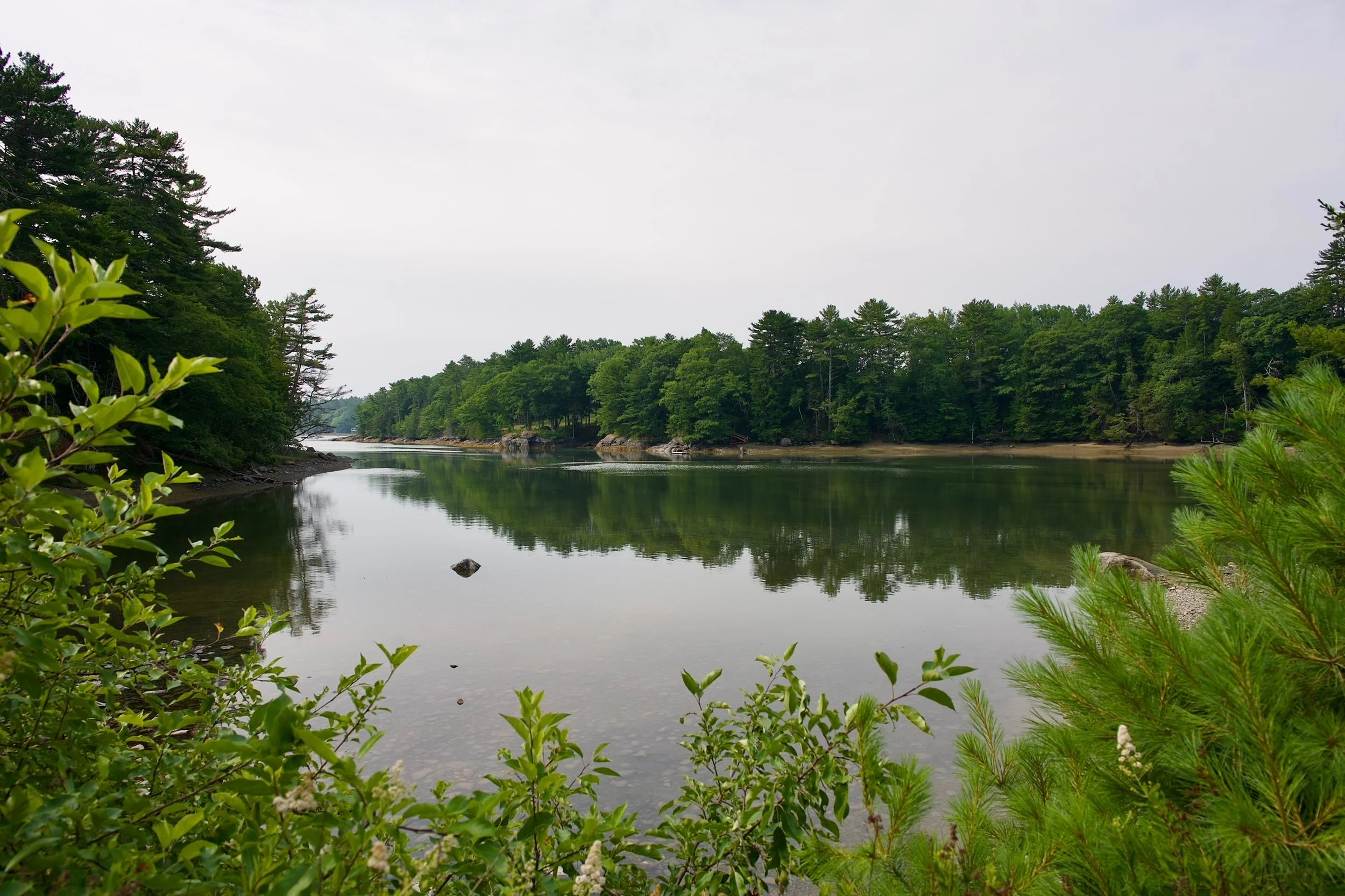 BHHT Intern-led Event - Landscape through a Lens: A Nature Photography Workshop