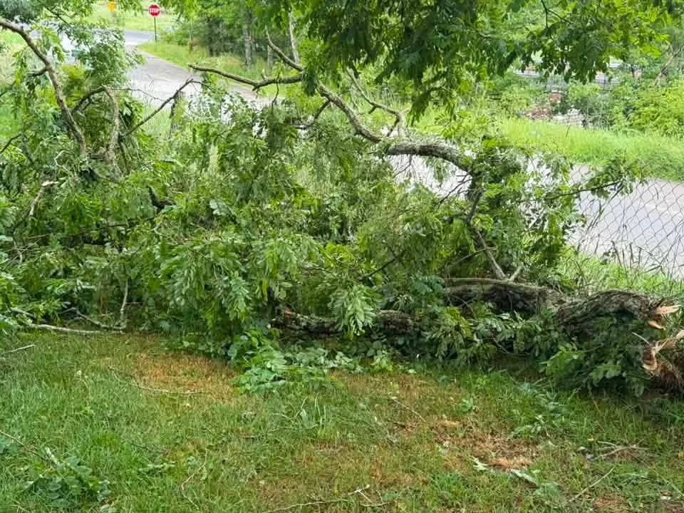 Storm causes damage, outages