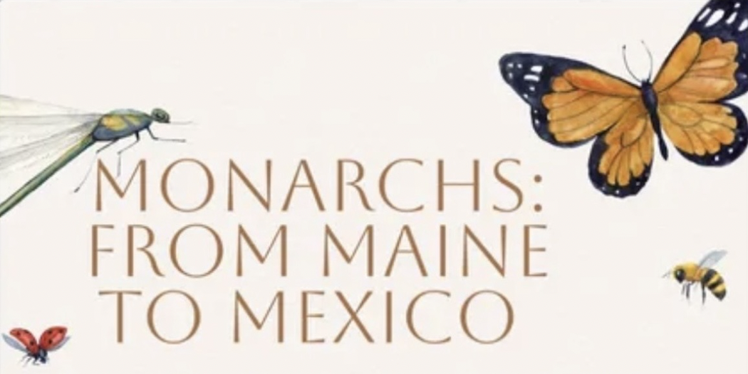 Monarchs: Maine to Mexico presented by Leslie Clapp