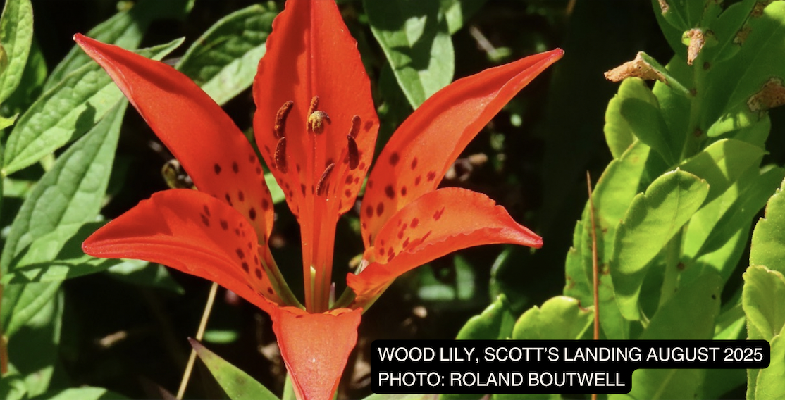 Scott's Landing Ecology Walk with Boot Boutwell