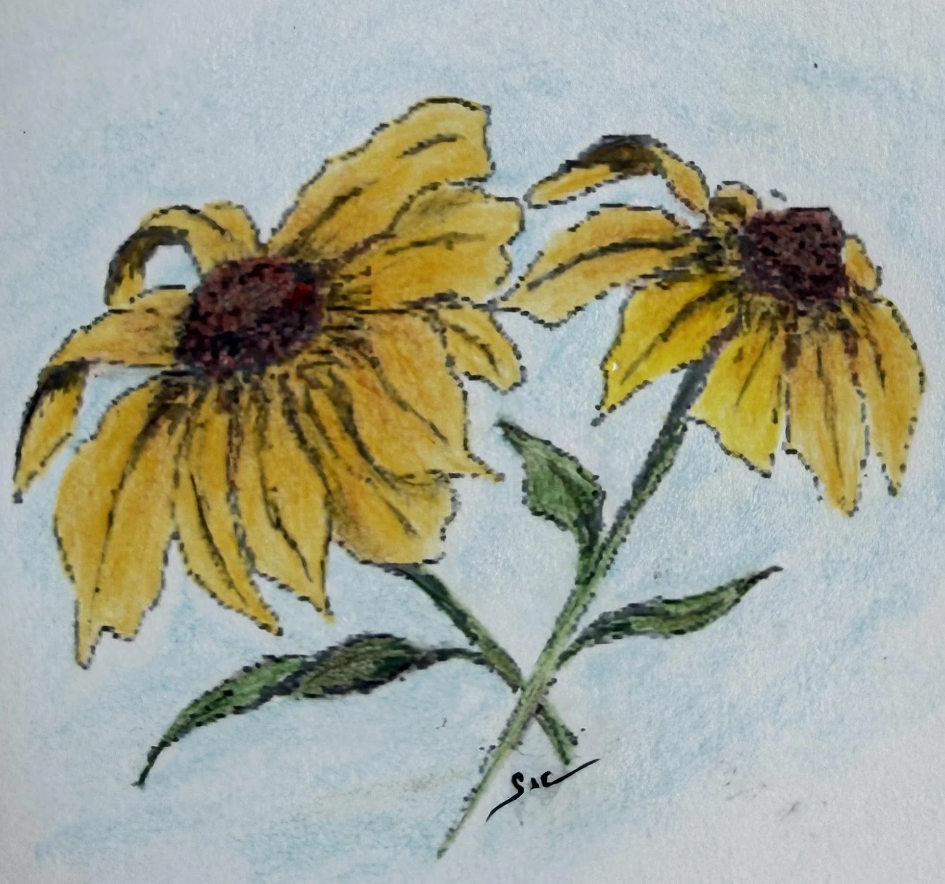 POEM: The flower that makes us believe summer will never end