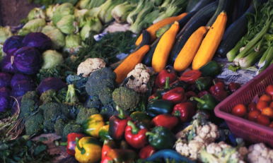 The Magic Food Bus celebrates 16 years of free food, books