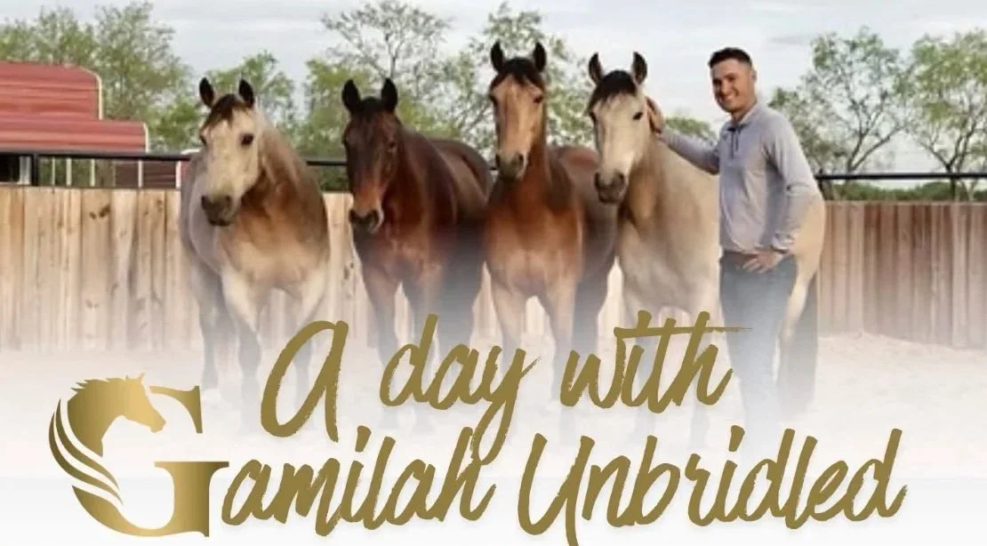 Horsemanship: A Day with Gamilah Unbridled