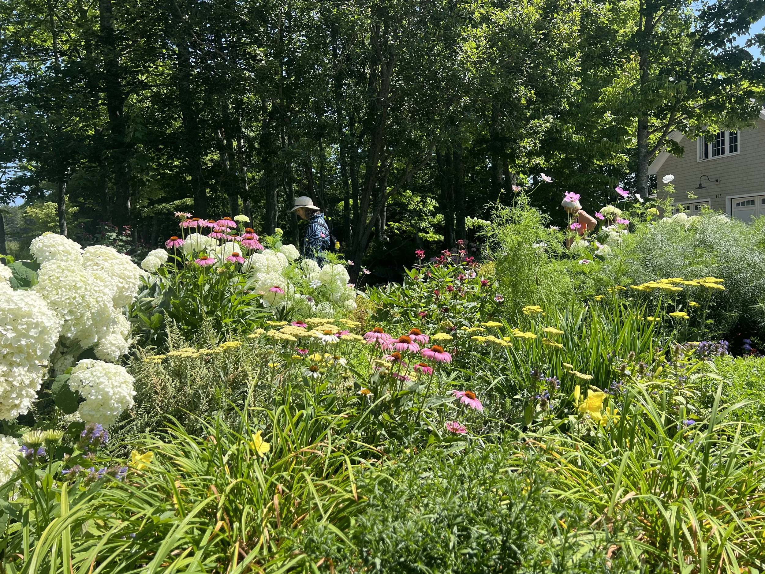 CHS hosts beloved House and Garden Tour