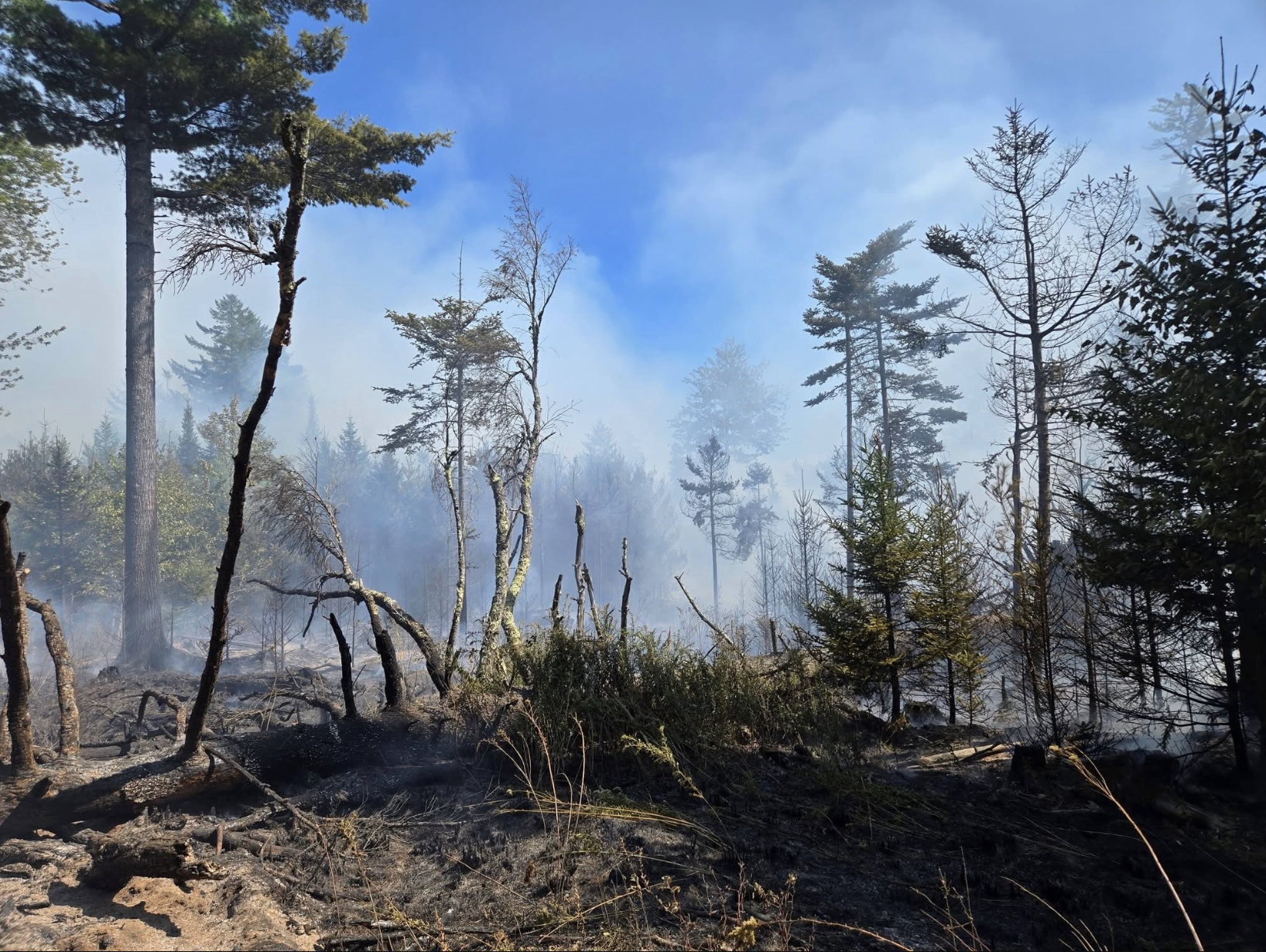 Penobscot wildland fire 80% contained