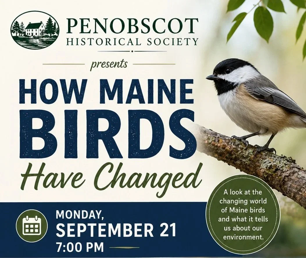 How Maine Birds Have Changed