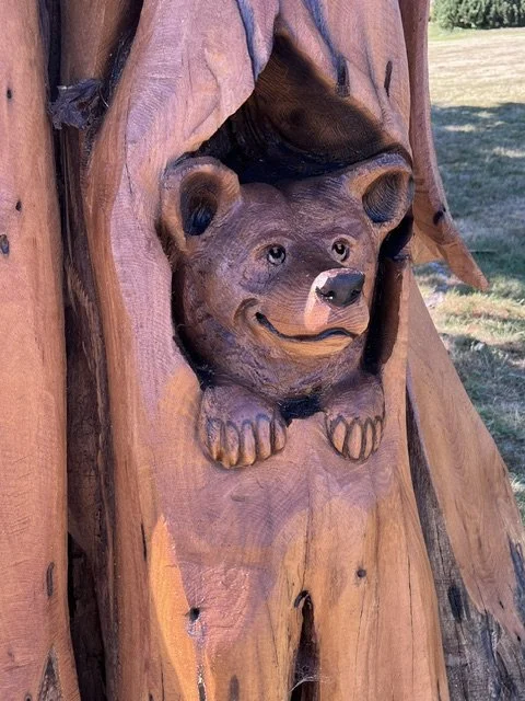 Carved bear cub peeking out of new tree sculpture. Photo by Steele Hays.
