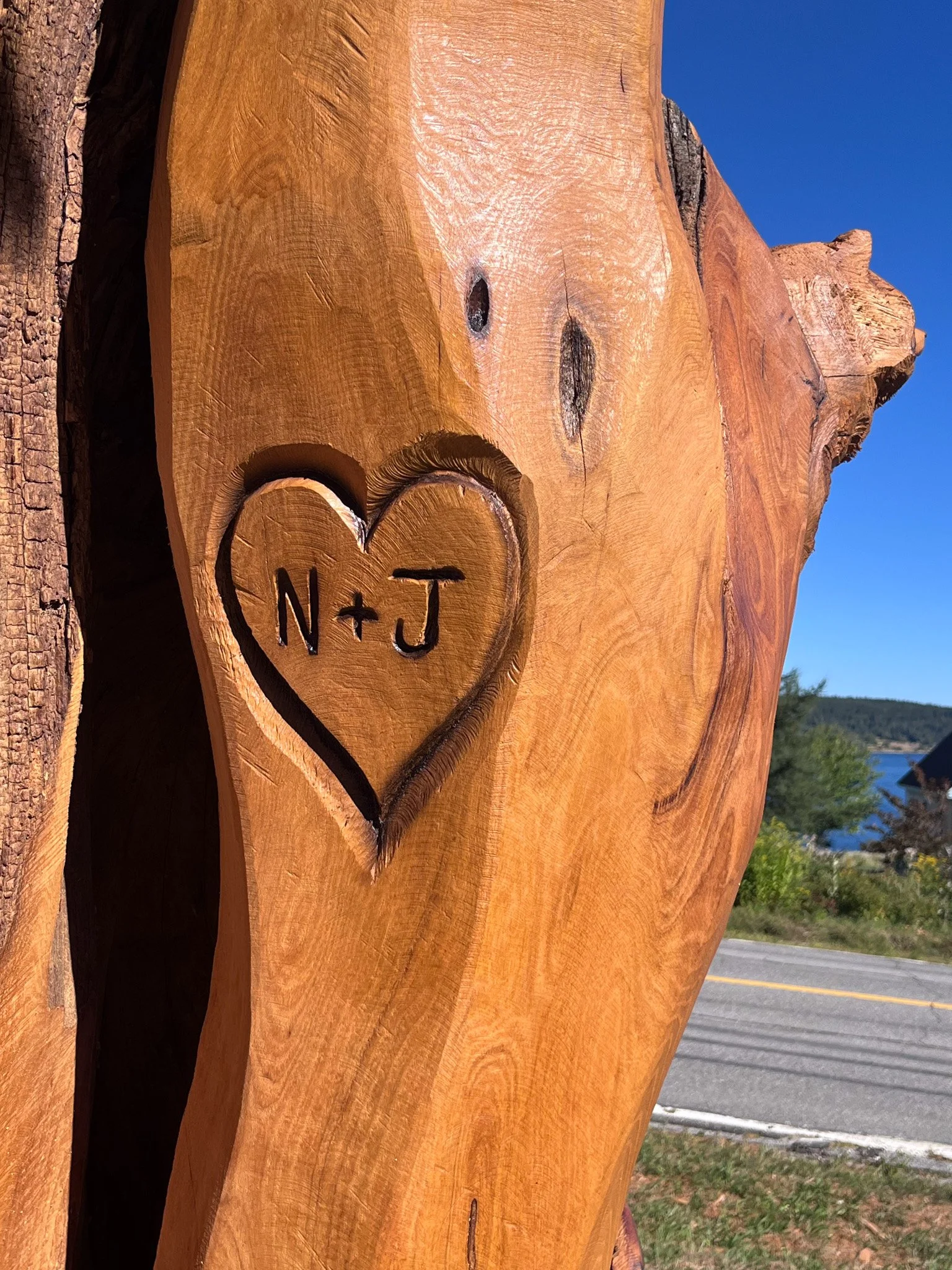 Neal and Judy's inititals carved into tree within a heart. Photo by Steele Hays
