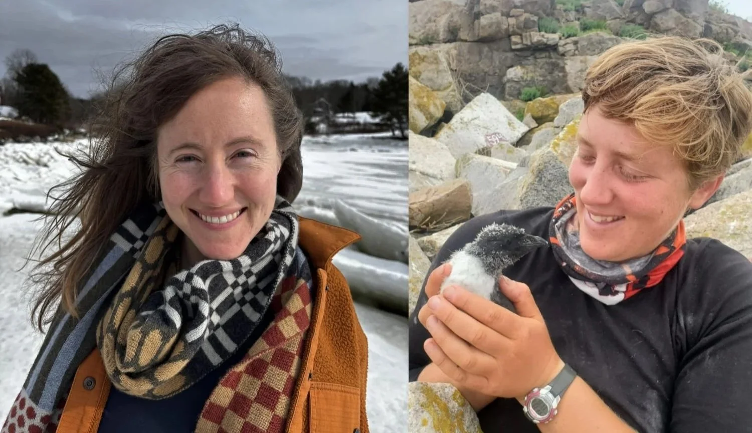 Author Event w/Alice Hotopp and Coco Faber