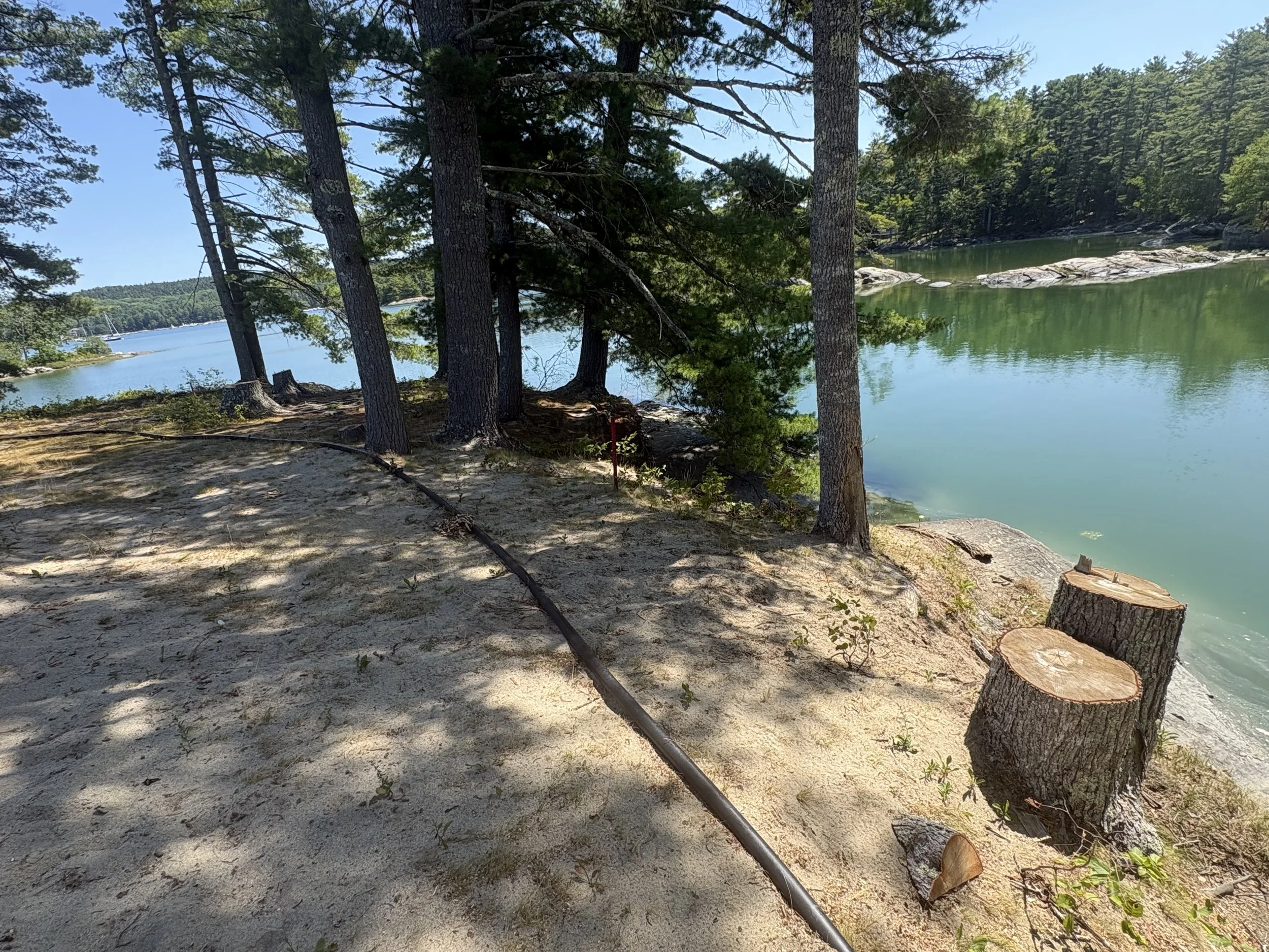 Blue Hill Country Club must file plan to replace trees cut along shore