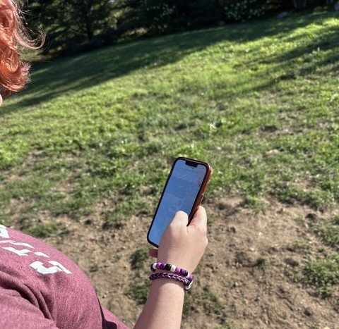 Early feedback on school cell phone ban