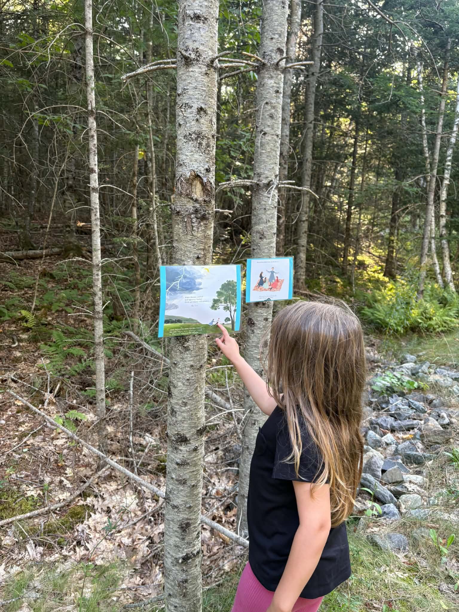New storybook trail in Brooksville
