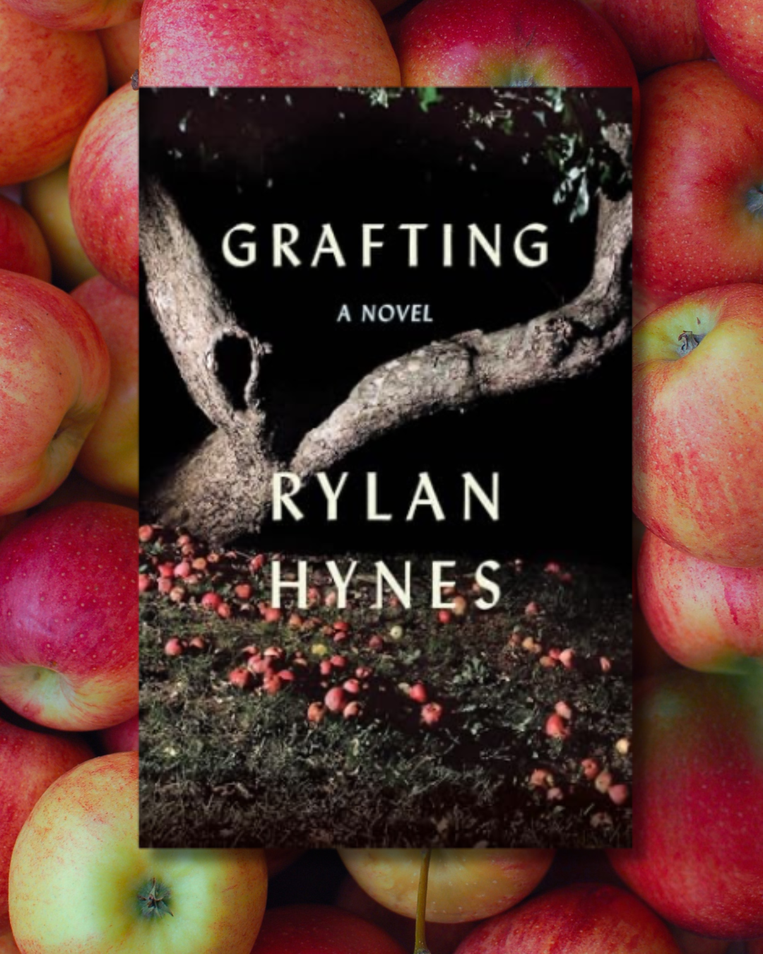 BOOK REVIEW: Heartbreak, hope and forbidden romance on a Maine orchard