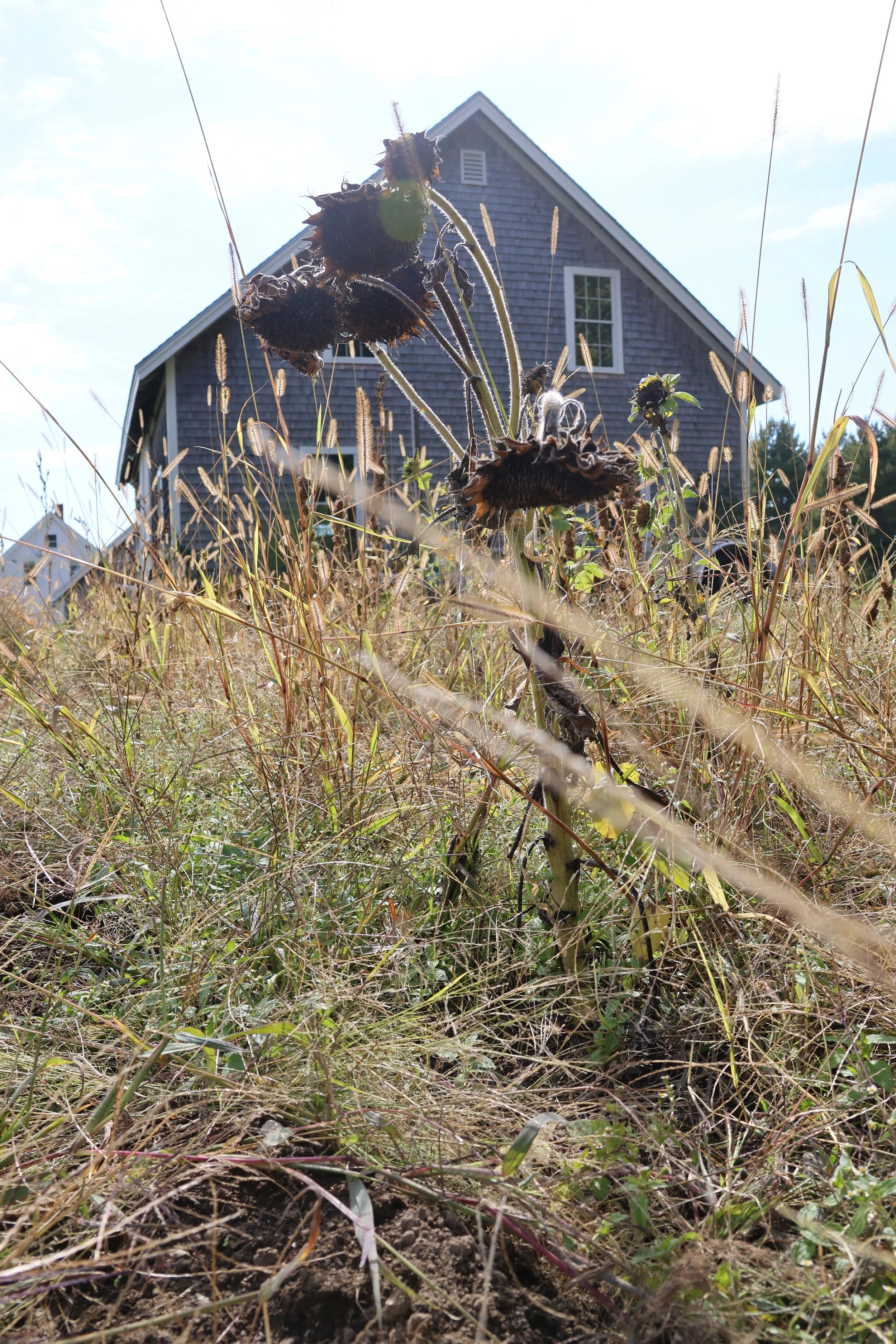 POEM: Fall chores
