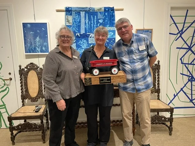 Nina Fleming named outstanding library volunteer of the year