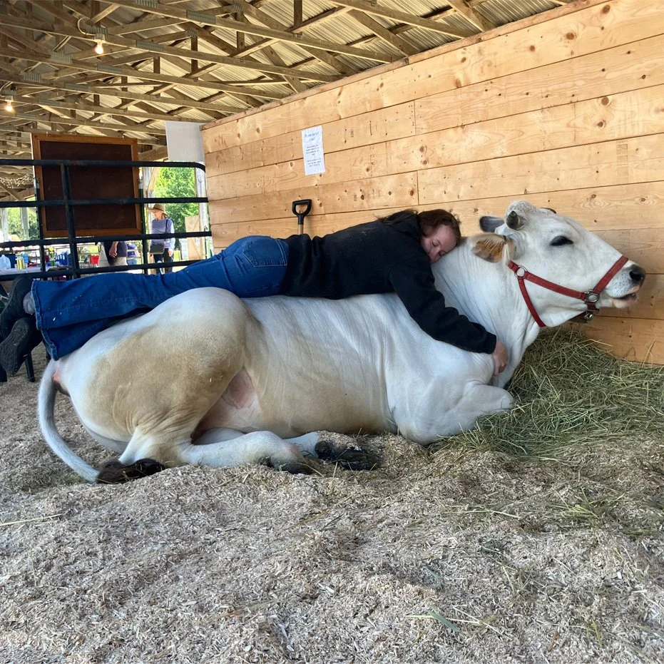 ICYMI: Blue Hill Fair enjoys sunny skies, high attendance and an enduring legacy