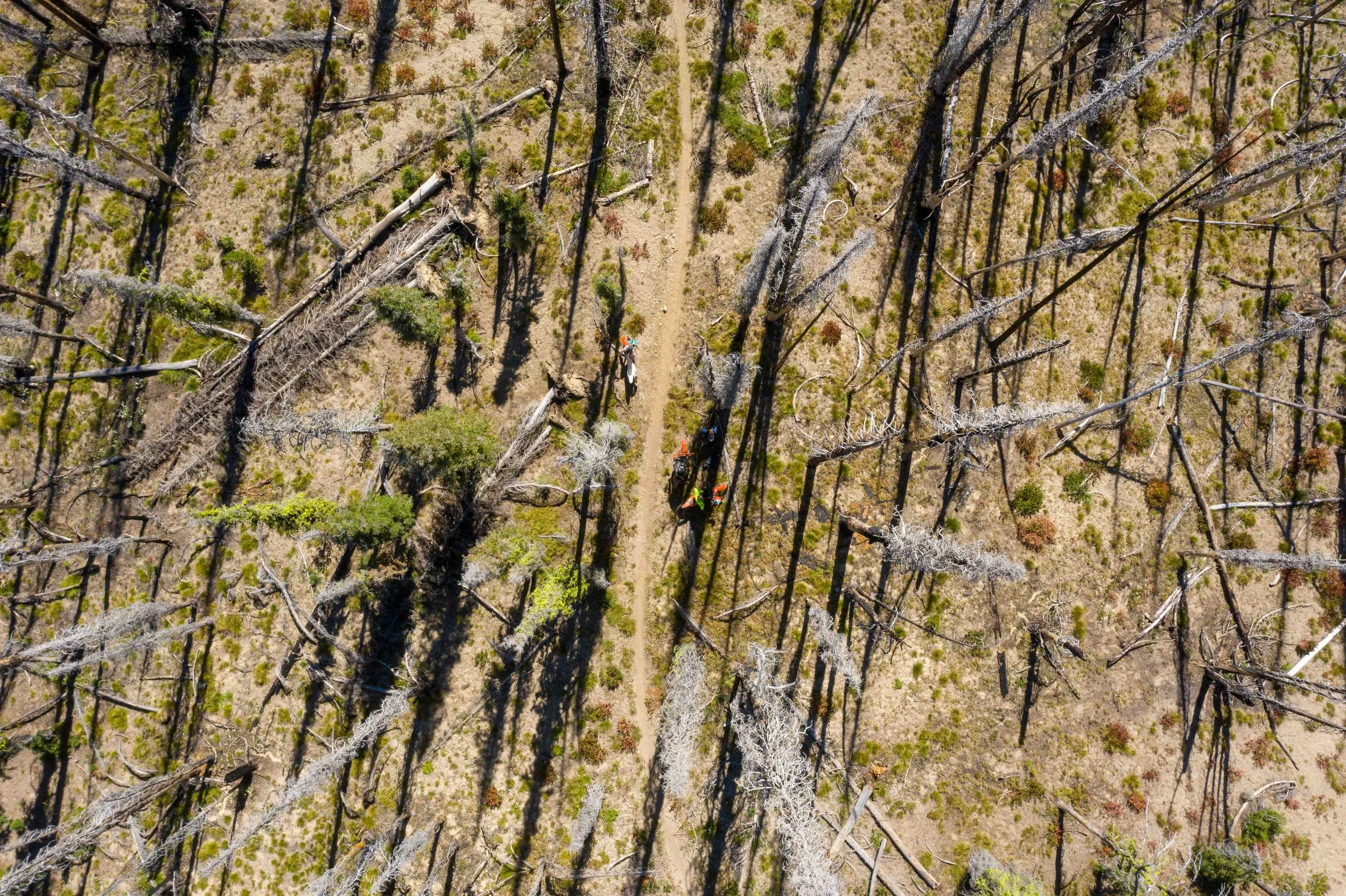 DJI_0270.jpg