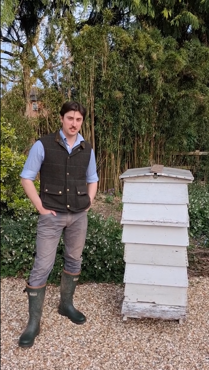 We’re Getting Beehives