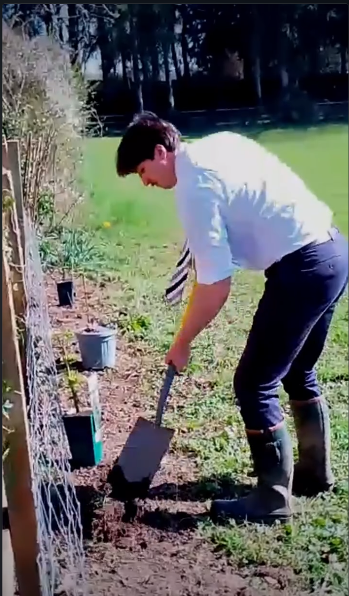 We’re planting our own blackberries