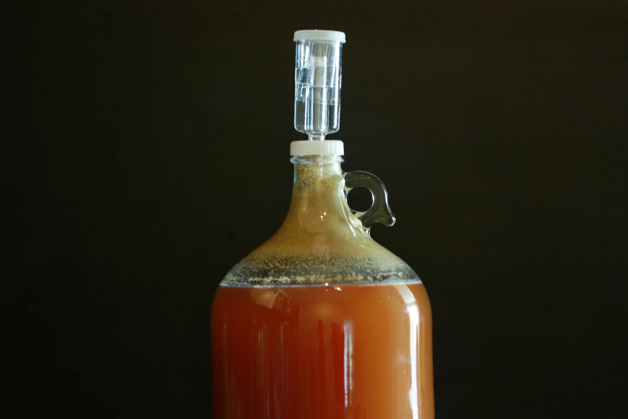 Mead brewing in glass jug