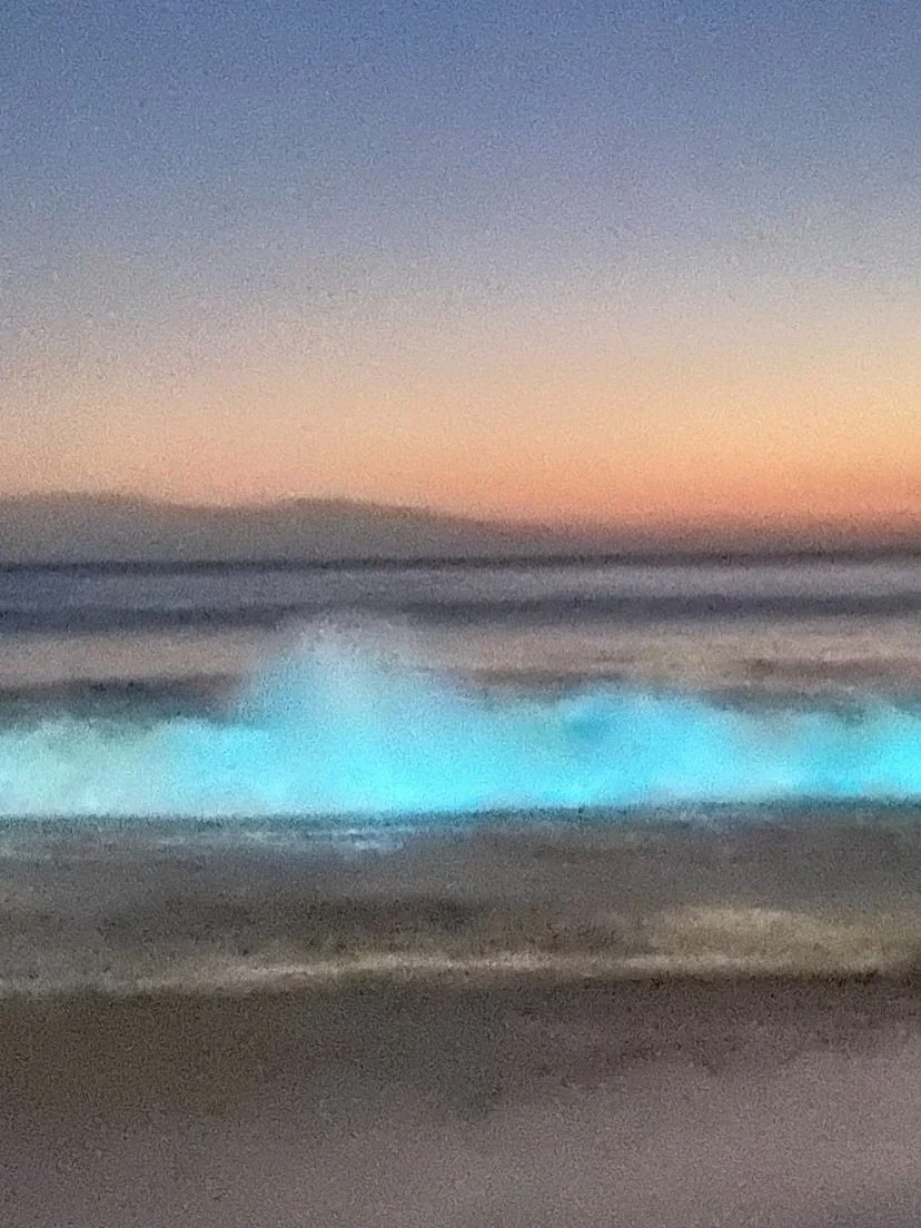 Gl&oacute;ria, aleluia! As praias se iluminam nesta noite m&aacute;gica! Dizem que o fen&ocirc;meno &eacute; produzido por algas chamadas Noctilucas; para mim, &eacute; uma ben&ccedil;&atilde;o divina! 💫