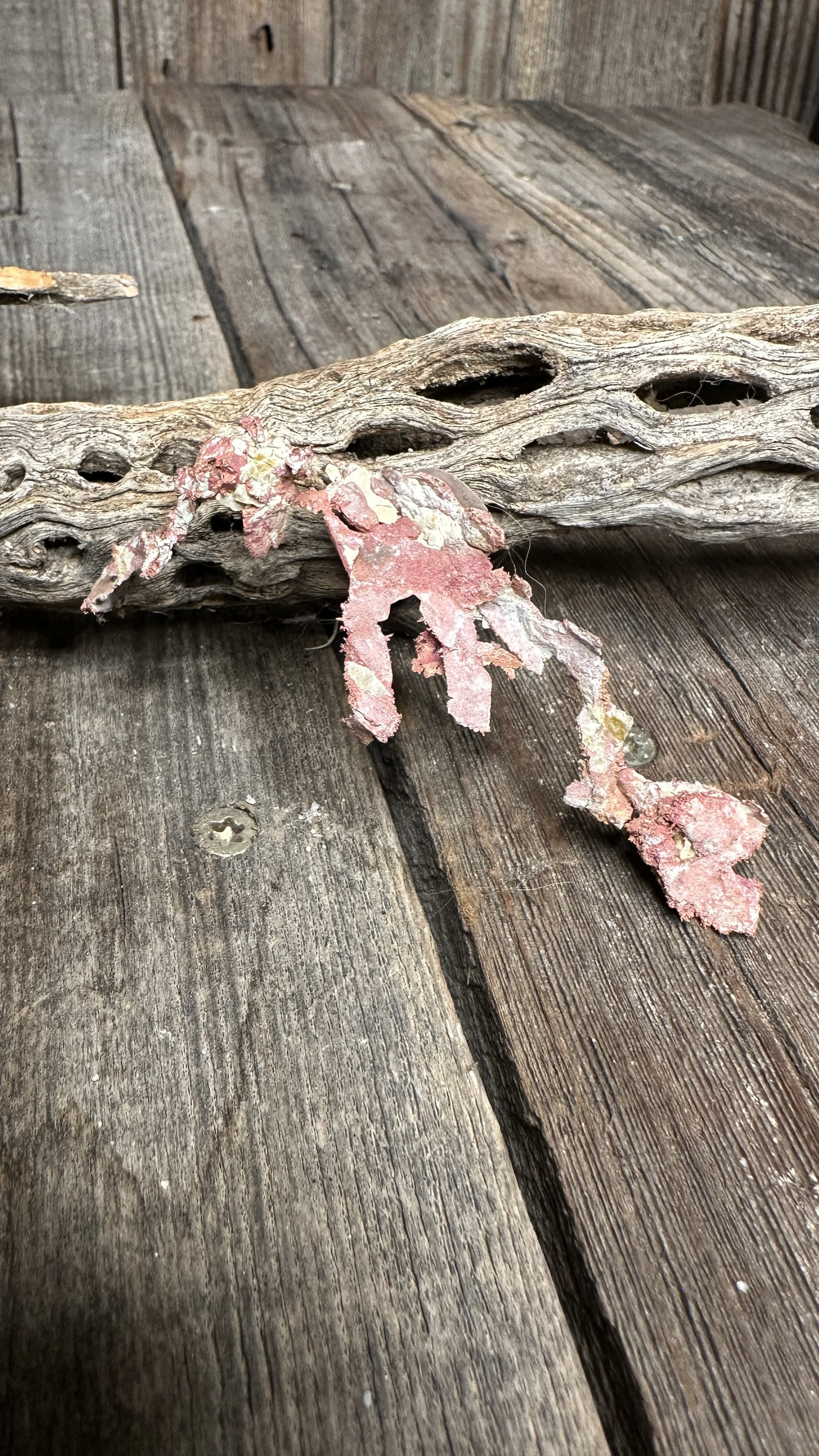 Store 2 — Elley Knows Rocks
