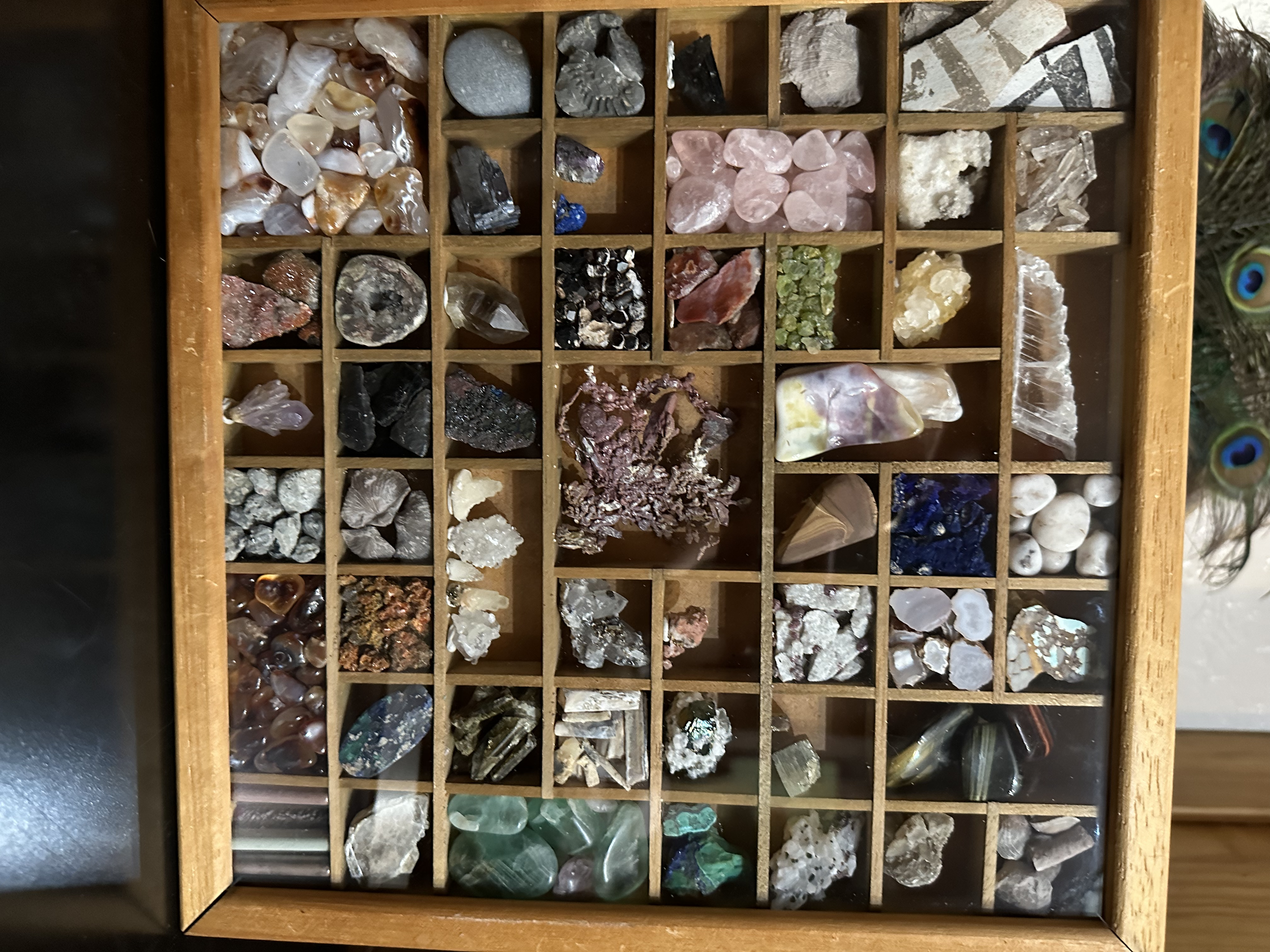Store 2 — Elley Knows Rocks