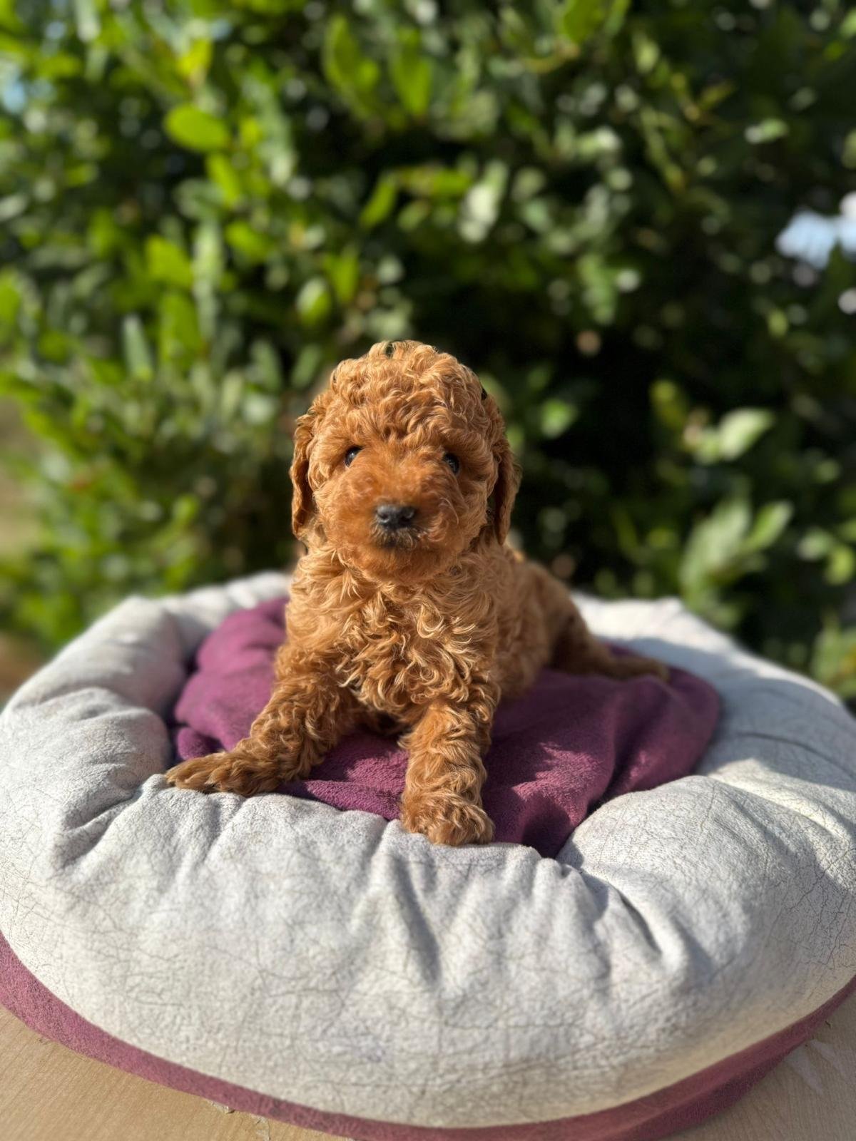 WhatsApp Image 2025-07-03 at 02.26.32 (1).jpeg