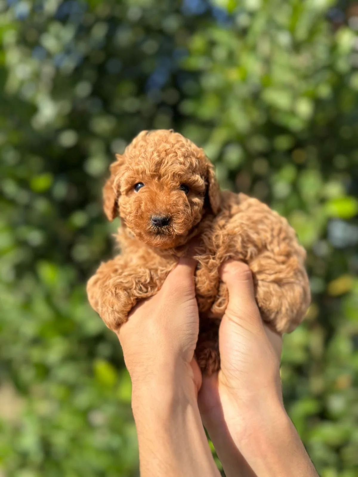 WhatsApp Image 2025-07-03 at 02.26.32 (3).jpeg