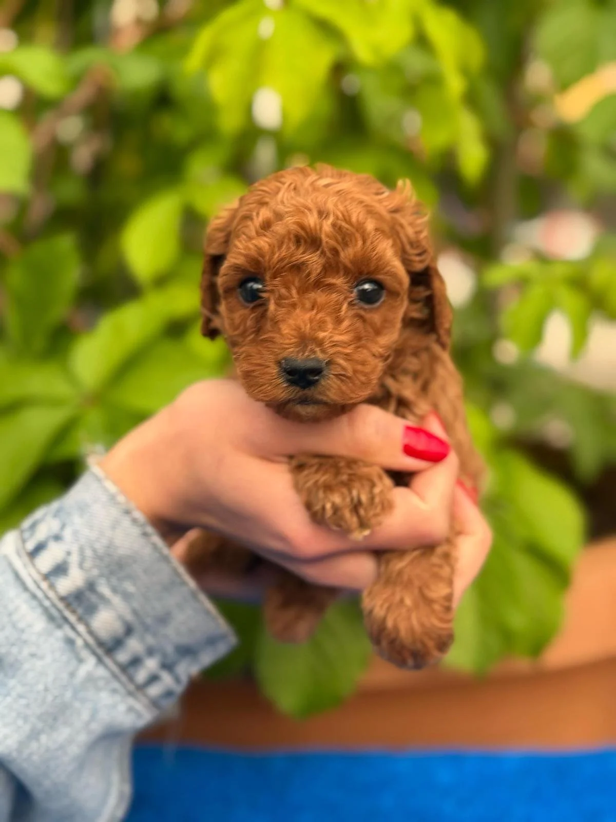 WhatsApp Image 2025-07-03 at 02.26.31 (1).jpeg