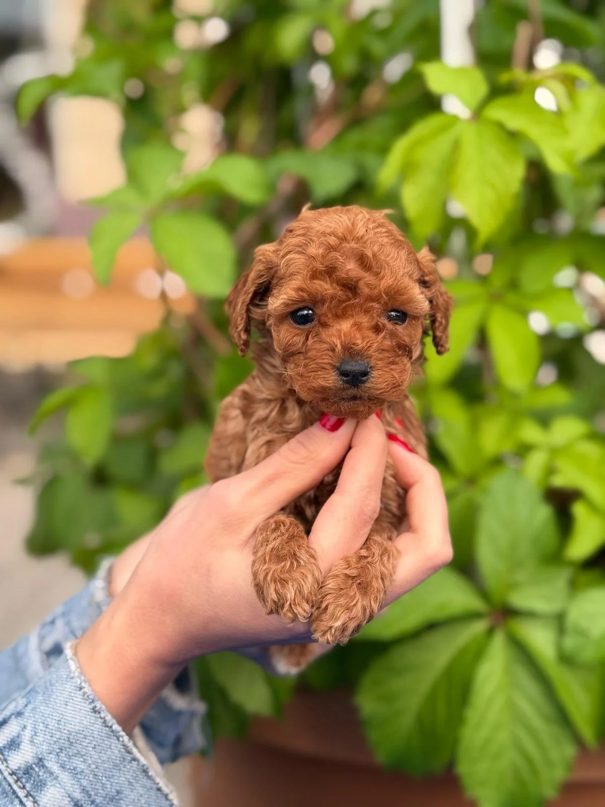 WhatsApp Image 2025-07-03 at 02.26.30 (2).jpeg