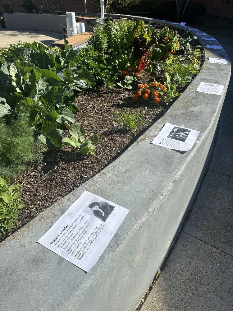 Set up a ‘Gallery Walk’