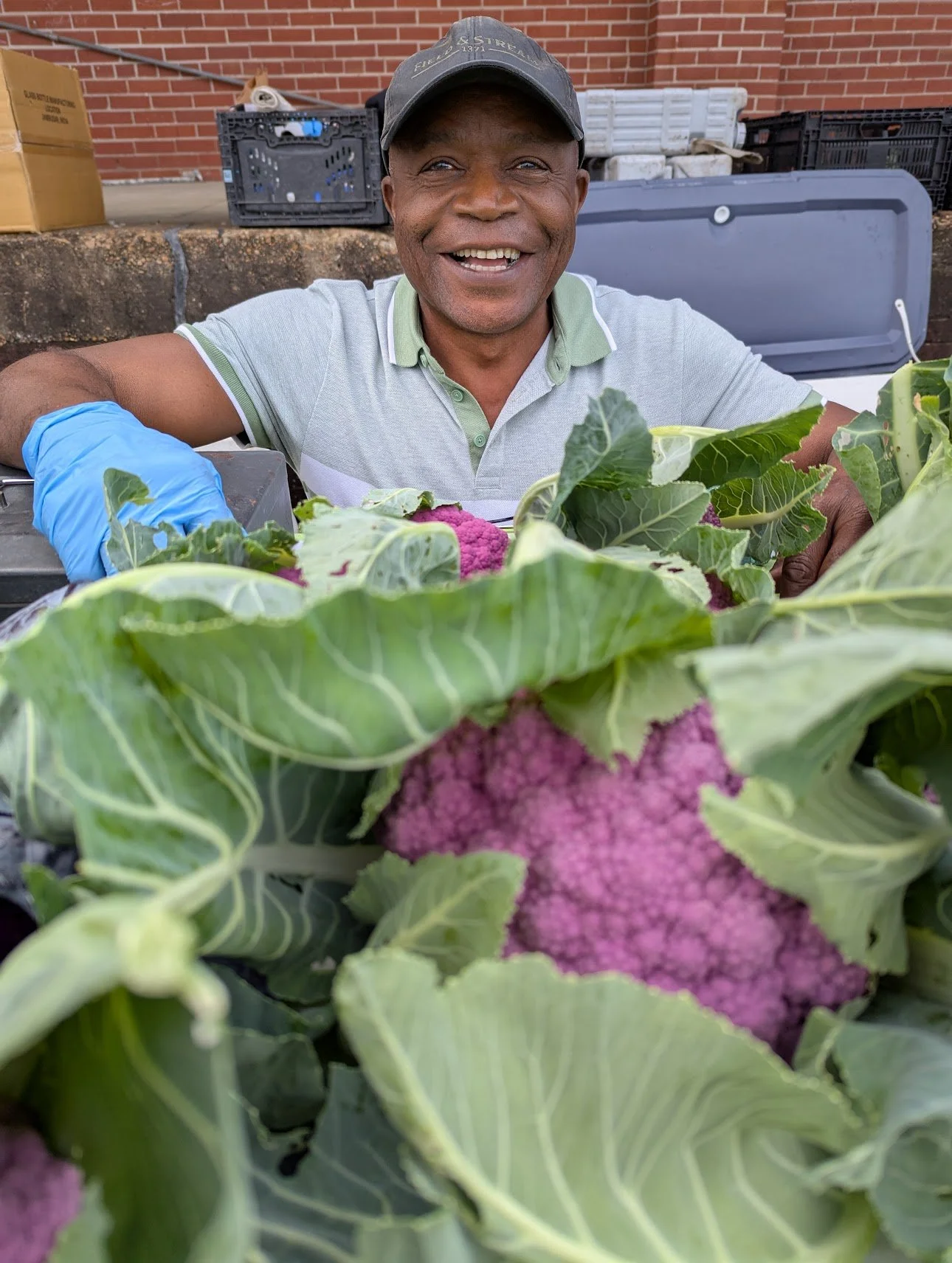Ely from Sustainable Garden