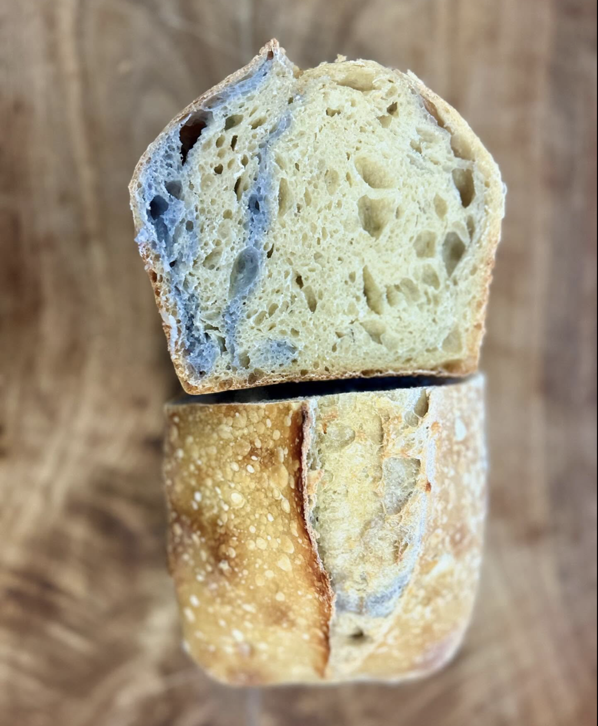 Screen Shot 2025-04-02 at 1.58.39 PM.png