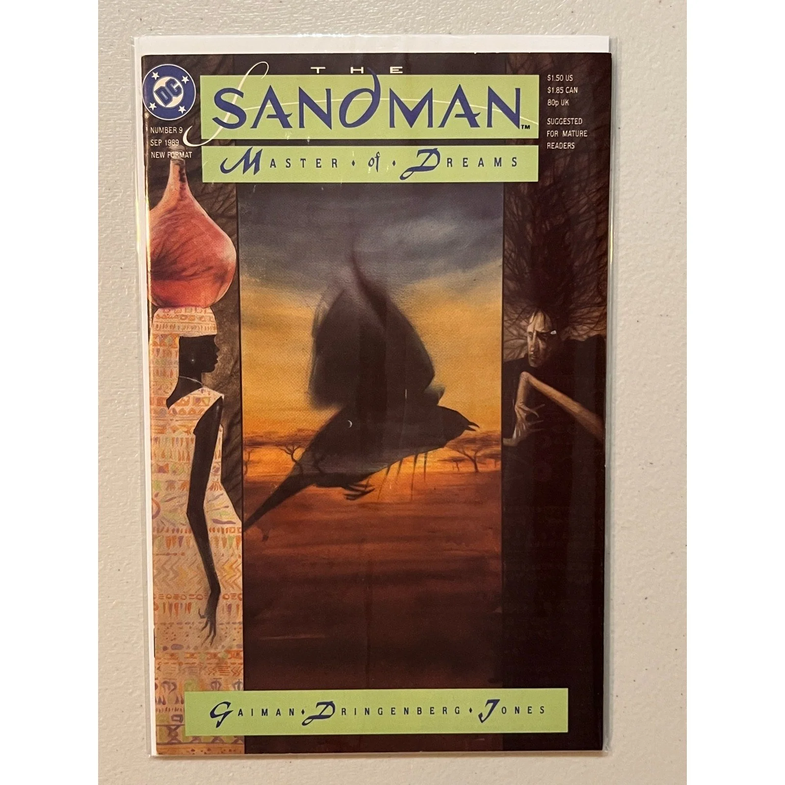 Vertigo Sandman #9 (1989) High Grade!