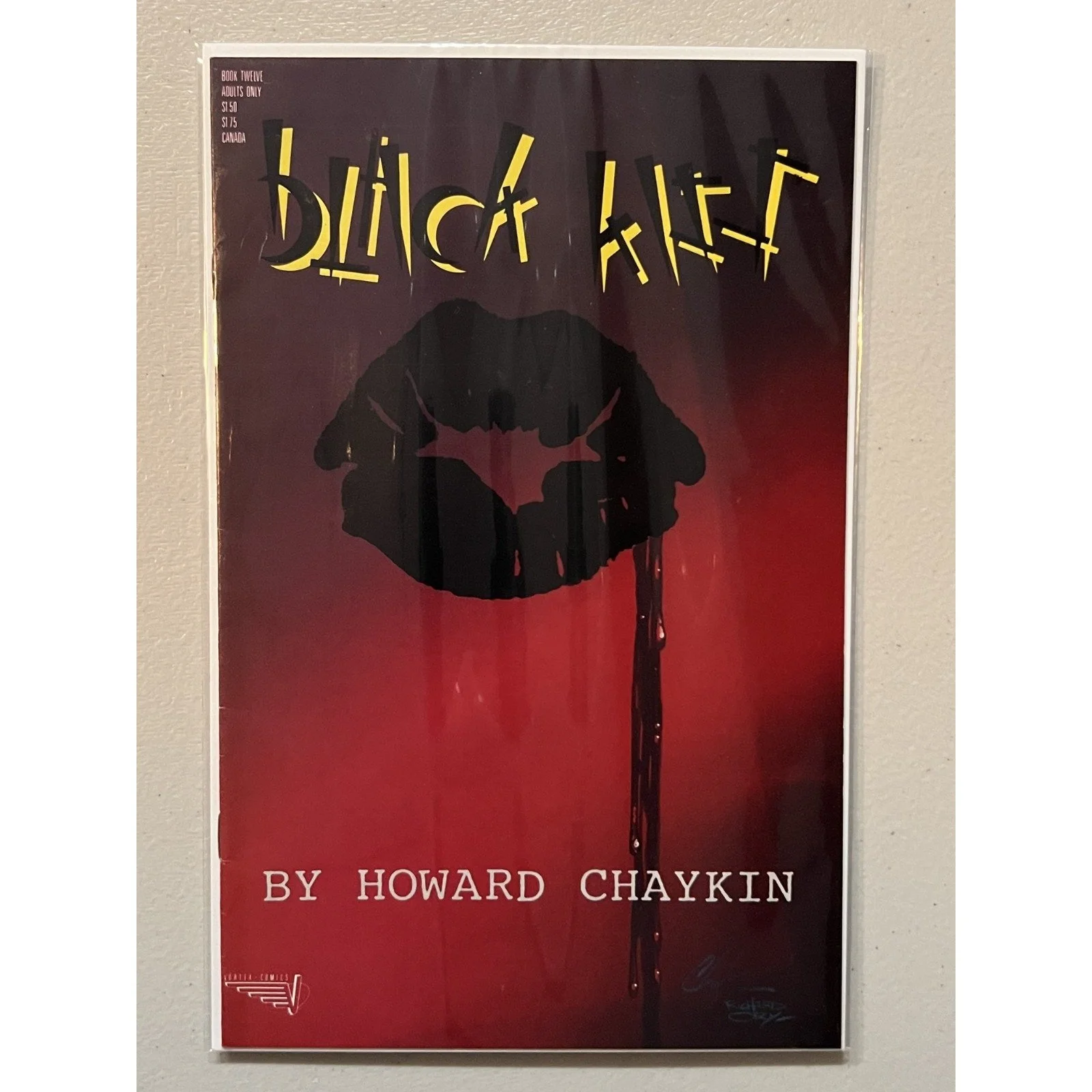 Vortex Comics Black Kiss #12 (1988) High Grade!