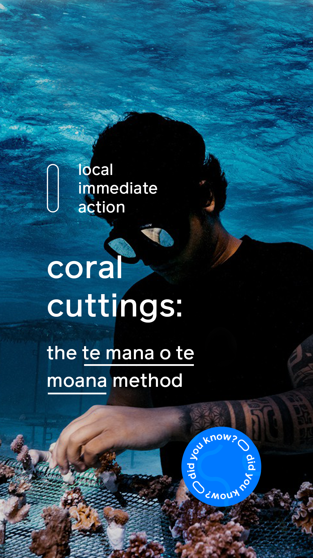 story_coralcutting_01.png