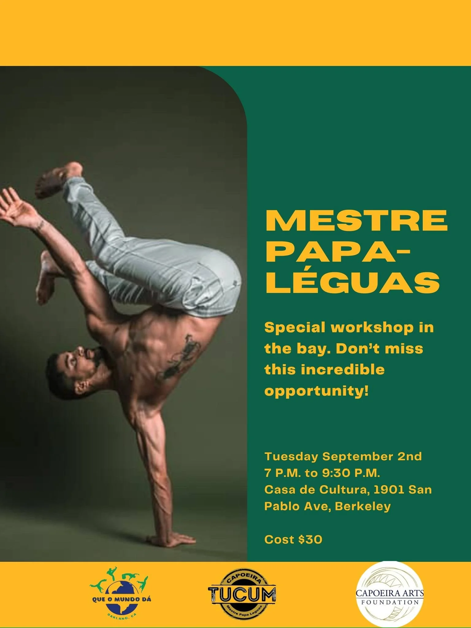 Mestre Papa-Léguas