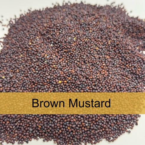 A large pile of brown mustard seeds with a label that reads 'Brown Mustard'.