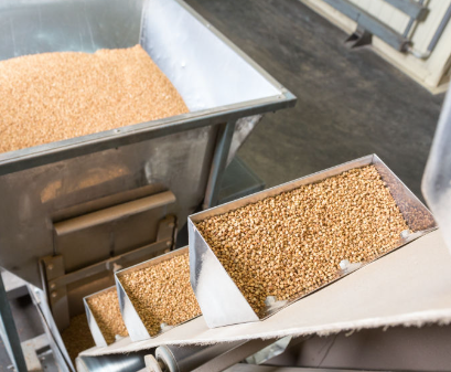 Grains being processed through industrial equipment in a factory setting.