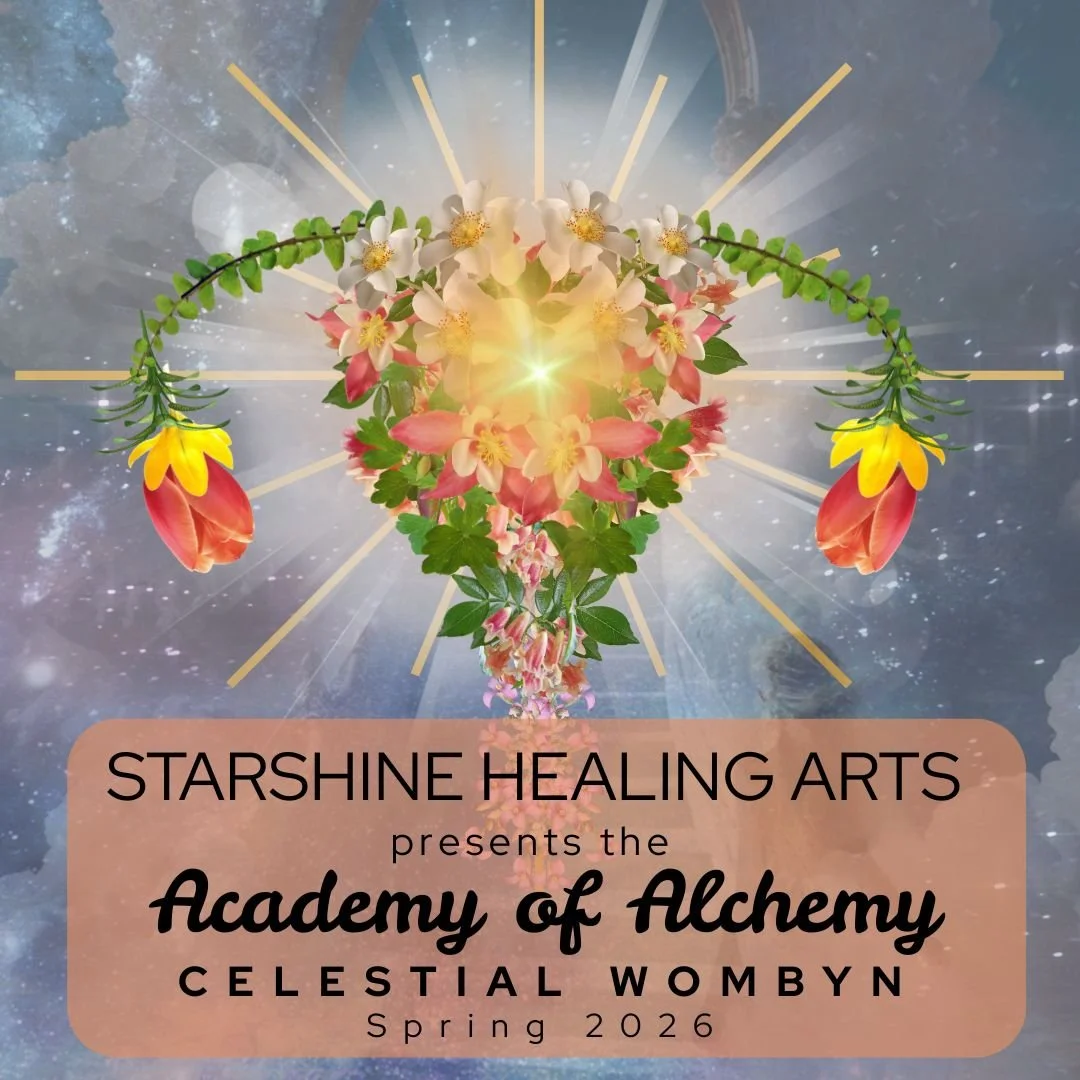 ACADEMY OF ALCHEMY - Celestial Wombyn